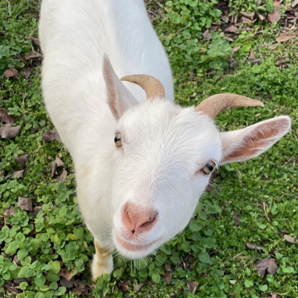 Meet your Posher, Crystal